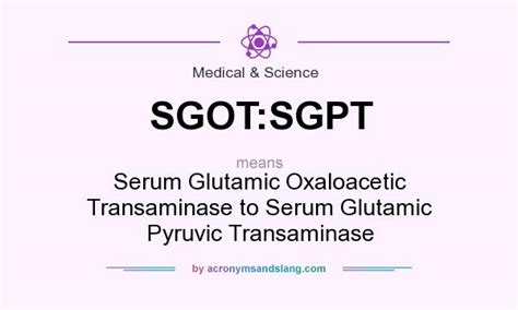 sgot sgpt meaning in tamil|Serum Glutamic.